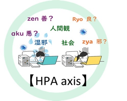 HPA系